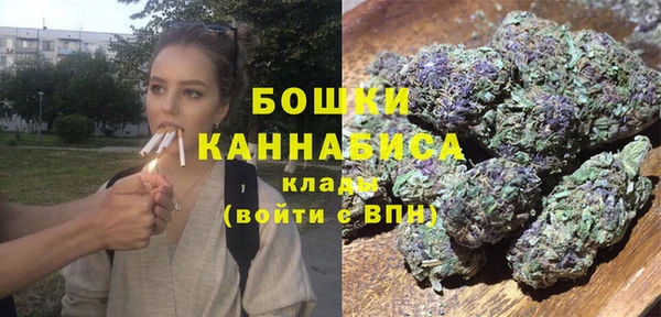 гашик Горняк