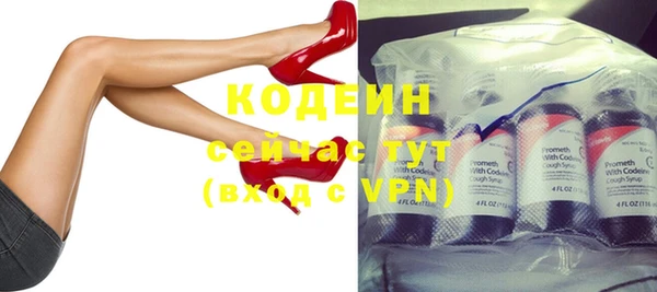 гашик Горняк