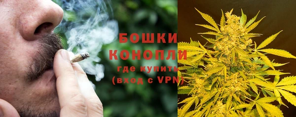 метадон Горнозаводск